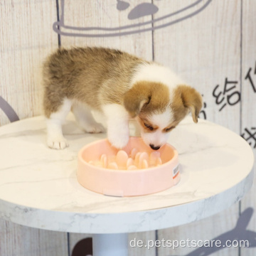 Langsam essen Hundeschalenschüssel -Schüsselqualität
